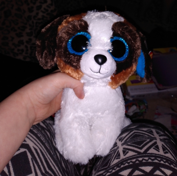A picture and a Teddy dog - Picture 2 of 2